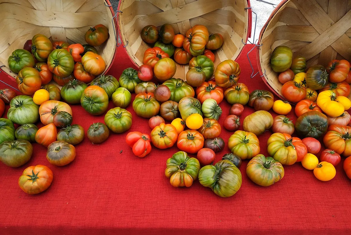 Fenland Seasonal Food Calendar: What to Buy and When